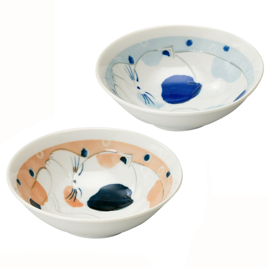 Pair Set 2 Japanese Small Bowls Sleeping Cat Apricot & Baby Blue Mino Ware Cute Kitten Ceramic Shallow Noodle Bowls Made in Japan New