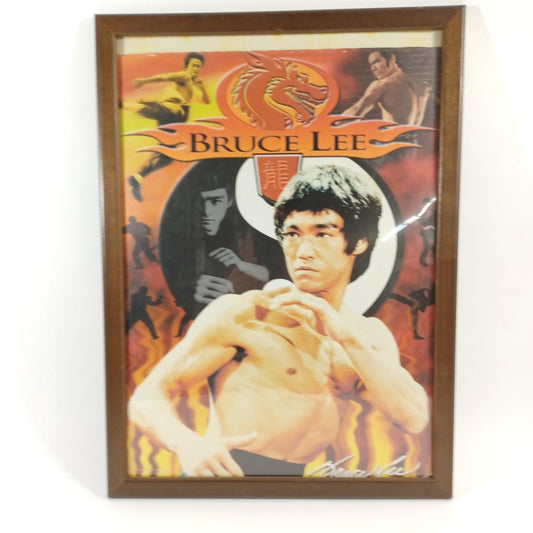 Used Bruce Lee Poster Game of Death Vintage Movie Memorabilia Martial Arts Wall Art Jeet Kune Do Retro Home Decor Rare Japan 24.8x17.7in