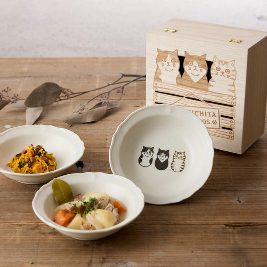 Japanese Cat Illustration Bowl Set of 3 Hand-Drawn Style Kitty Dishes Porcelain Kobachi Gift Wood Box